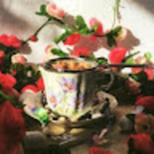 Meet your Posher, Hailey